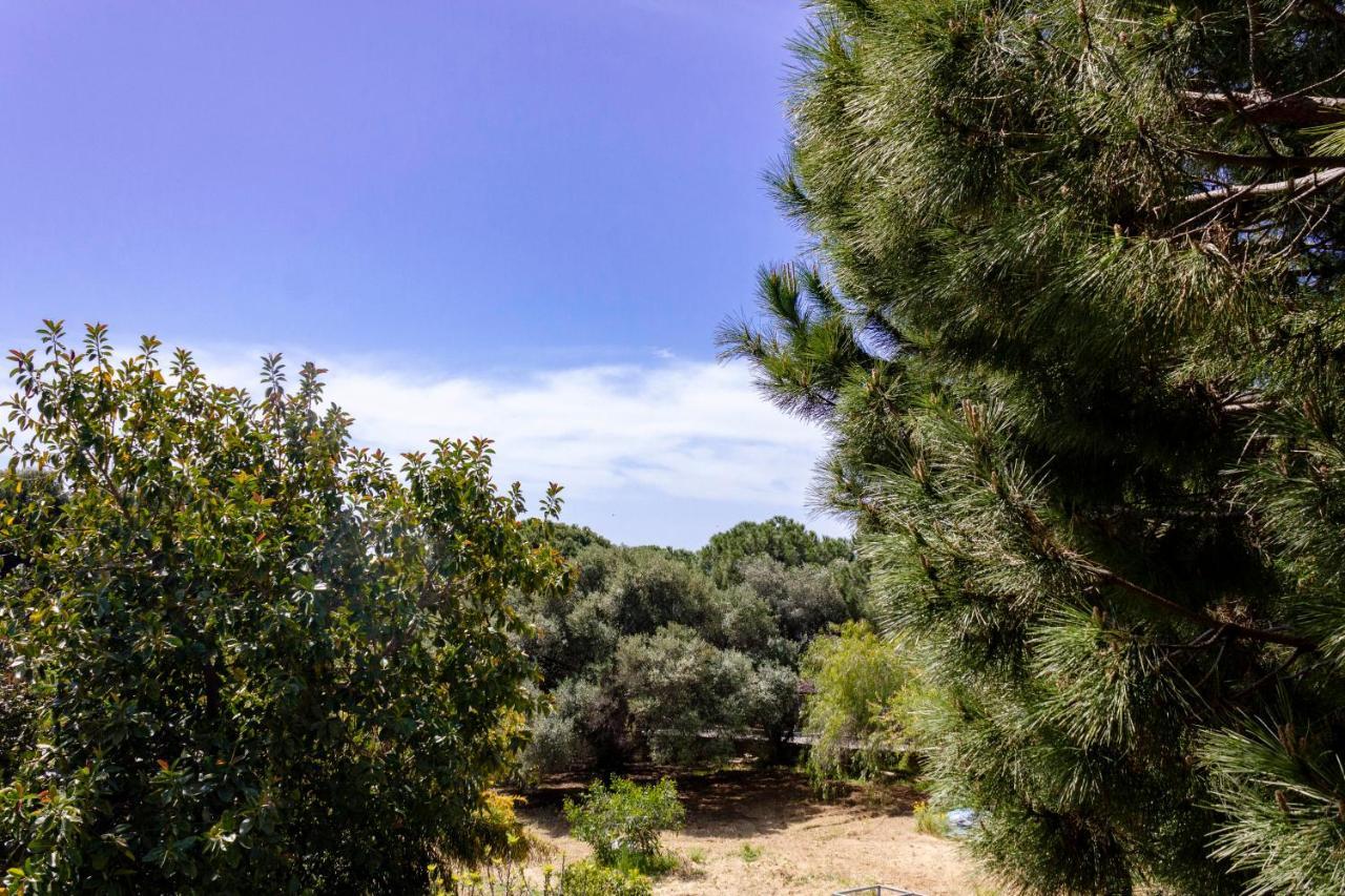 B&B Pirandello - Residence Villa Margherita Agrigento Luaran gambar