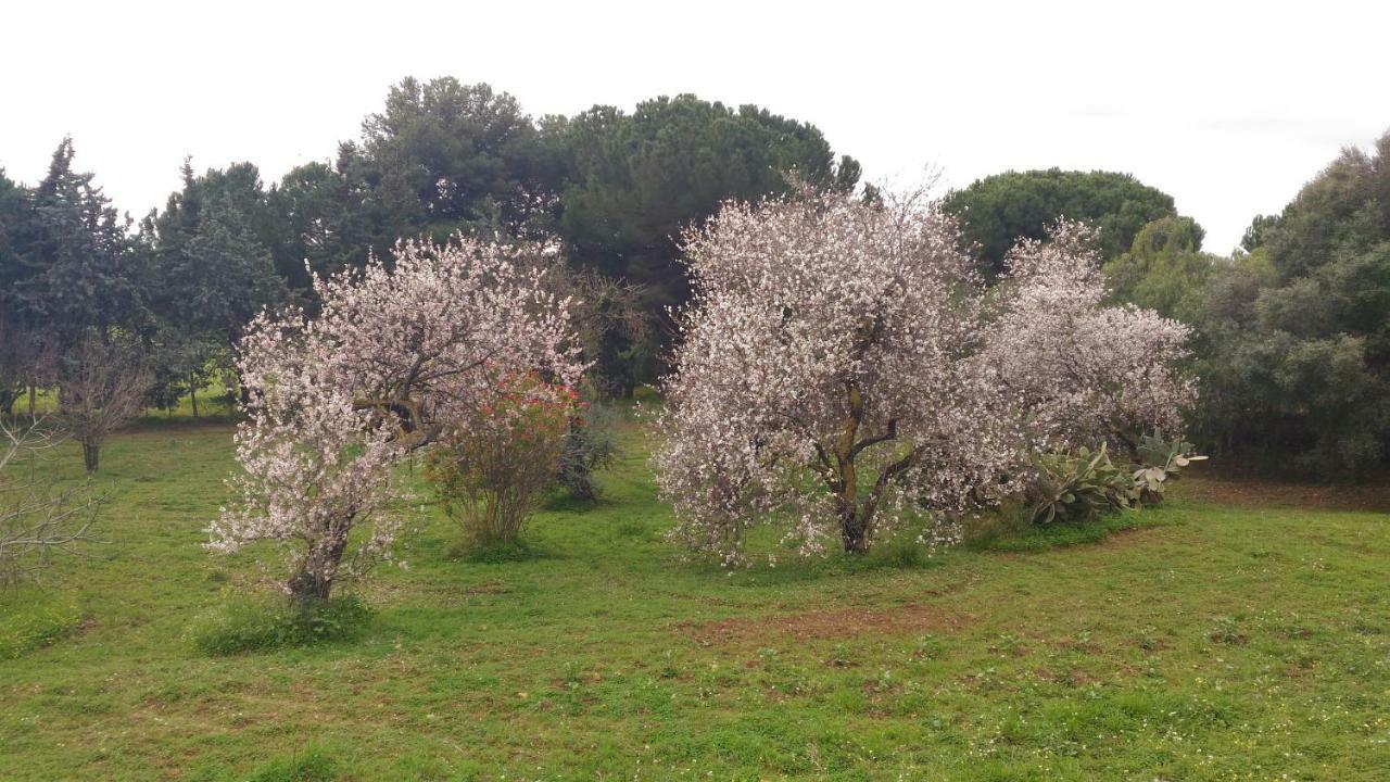B&B Pirandello - Residence Villa Margherita Agrigento Luaran gambar